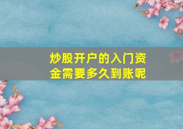 炒股开户的入门资金需要多久到账呢