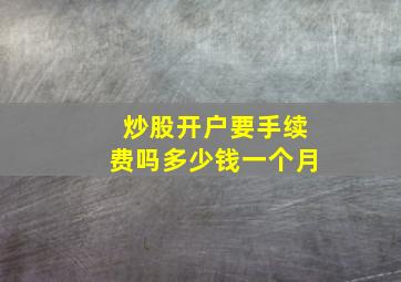 炒股开户要手续费吗多少钱一个月