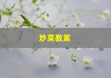 炒菜教案