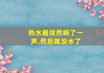 热水器突然响了一声,然后就没水了