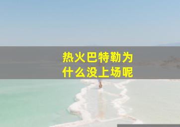 热火巴特勒为什么没上场呢