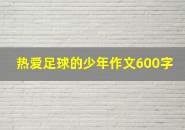 热爱足球的少年作文600字