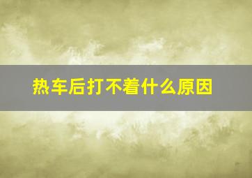 热车后打不着什么原因