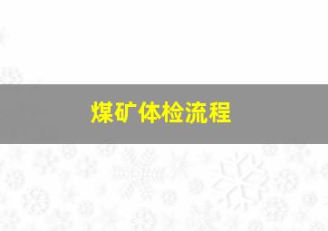 煤矿体检流程