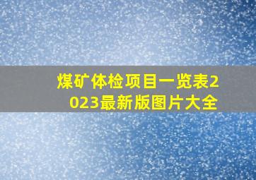 煤矿体检项目一览表2023最新版图片大全