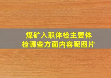 煤矿入职体检主要体检哪些方面内容呢图片