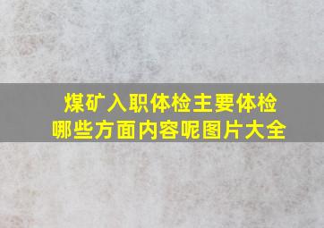 煤矿入职体检主要体检哪些方面内容呢图片大全