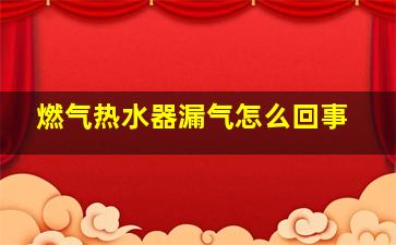 燃气热水器漏气怎么回事