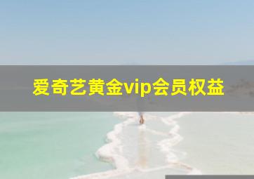 爱奇艺黄金vip会员权益