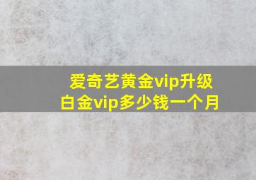 爱奇艺黄金vip升级白金vip多少钱一个月