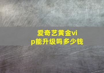 爱奇艺黄金vip能升级吗多少钱