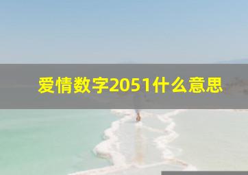 爱情数字2051什么意思