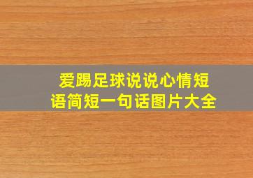 爱踢足球说说心情短语简短一句话图片大全