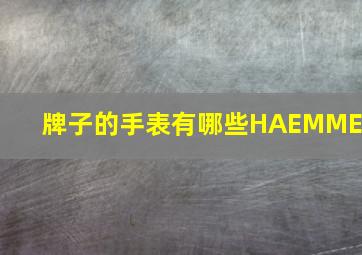 牌子的手表有哪些HAEMMER