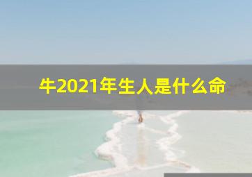 牛2021年生人是什么命