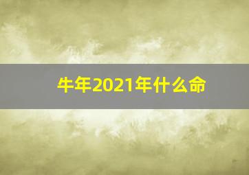 牛年2021年什么命