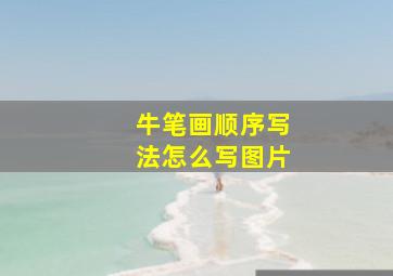 牛笔画顺序写法怎么写图片