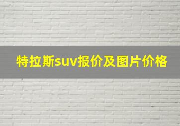 特拉斯suv报价及图片价格