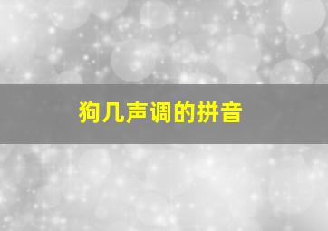 狗几声调的拼音