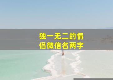 独一无二的情侣微信名两字