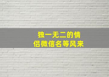 独一无二的情侣微信名等风来