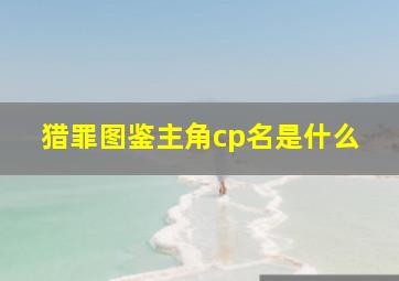 猎罪图鉴主角cp名是什么