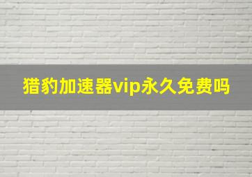 猎豹加速器vip永久免费吗