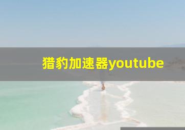 猎豹加速器youtube