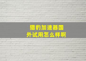 猎豹加速器国外试用怎么样啊