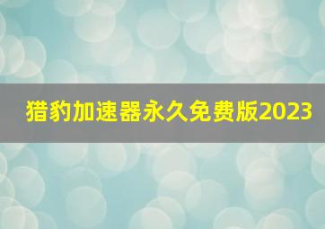 猎豹加速器永久免费版2023