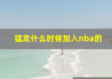 猛龙什么时候加入nba的