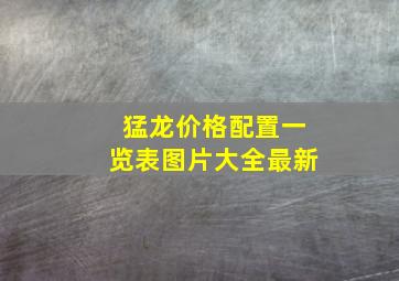 猛龙价格配置一览表图片大全最新