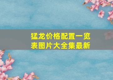 猛龙价格配置一览表图片大全集最新