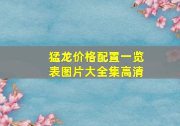 猛龙价格配置一览表图片大全集高清