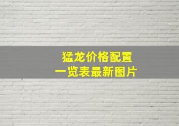 猛龙价格配置一览表最新图片