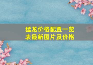 猛龙价格配置一览表最新图片及价格