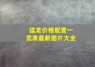 猛龙价格配置一览表最新图片大全