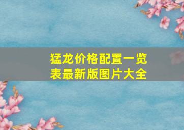 猛龙价格配置一览表最新版图片大全