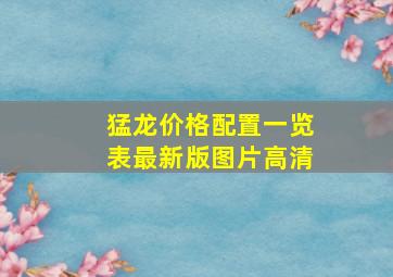 猛龙价格配置一览表最新版图片高清