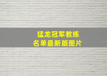 猛龙冠军教练名单最新版图片