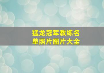 猛龙冠军教练名单照片图片大全