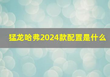 猛龙哈弗2024款配置是什么