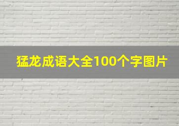 猛龙成语大全100个字图片