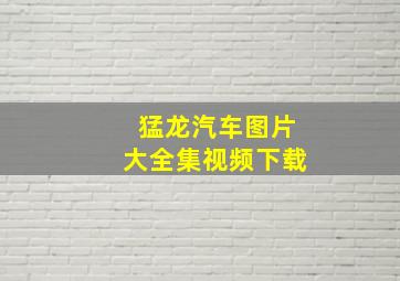 猛龙汽车图片大全集视频下载