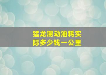 猛龙混动油耗实际多少钱一公里