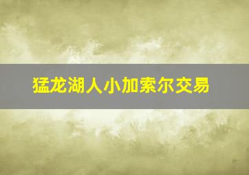 猛龙湖人小加索尔交易