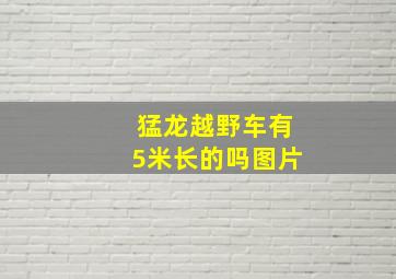 猛龙越野车有5米长的吗图片