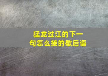 猛龙过江的下一句怎么接的歇后语