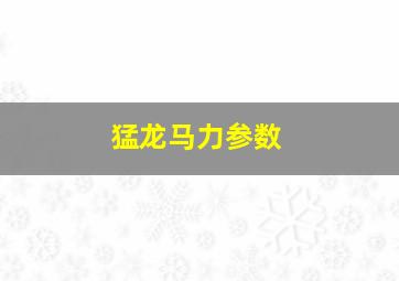 猛龙马力参数