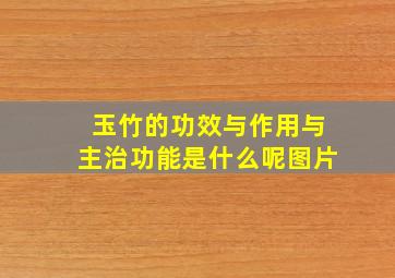 玉竹的功效与作用与主治功能是什么呢图片